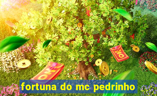 fortuna do mc pedrinho